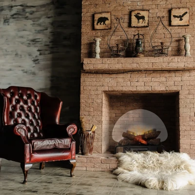 Dimplex Optiflame Logset 20' freestanding decorative electric fireplace insert for existing fireplaces