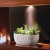 Napoleon Stylus Steinfeld Wall Mounted Electric Fireplace With Brown Walnut Frame