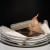 Six pieces of ceramic wood- style logs