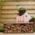 Wood Storage Bench in Corten Steel